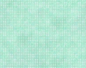 Dit Dot Color "Sea Foam" Collection by Jason Yenter for In the Beginning Fabrics 8AH13