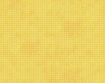 Dit Dot Color "Goldenrod" Collection by Jason Yenter for In the Beginning Fabrics 8AH6