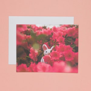 Thinking of You Kaninchen Karte, Liebeskarte für sie, Nur weil Karte, Du bist die Beste Karte, Freundschaftskarte, Dankbarkeitskarte für Freund