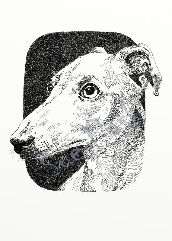 Grey Hound design dog Pet Digital downloads T-shirt mug apron | Etsy