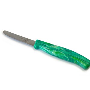 Küchenmesser mit Griff aus recyceltem Plastik Grün