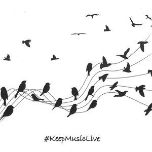 Op de afbeelding: Zwart-wit illustratie van vogels en muzieknoten. Silhouetten van vogels zitten op en vliegen boven gebogen lijnen, die lijken op muzieknoten. Een G-sleutel staat aan het begin, met de tekst "#KeepMusicLive" onderaan.