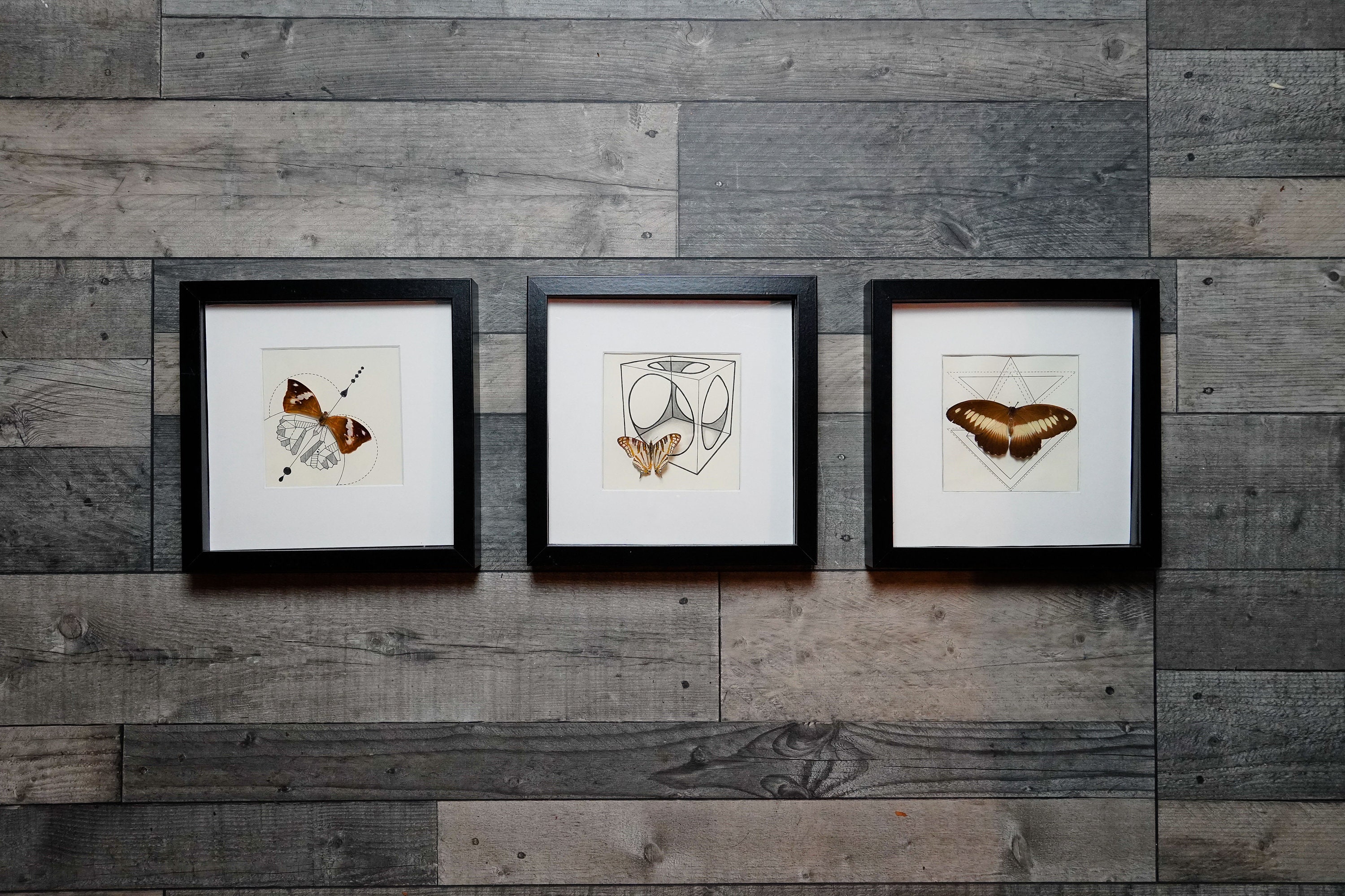 Cadres - Papillons Géométriques | Vendus Séparément, Prix à L'unité