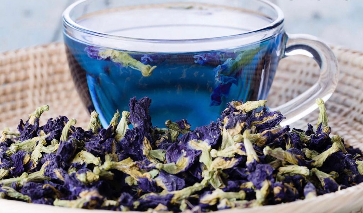 Butterfly Pea Tea Etsy