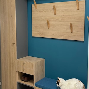 May include: A light wood entryway with a bench, a cabinet, and a wall-mounted coat rack with wooden hooks. The wall is painted a teal blue color. A white cat with orange and black markings is sitting on the bench.