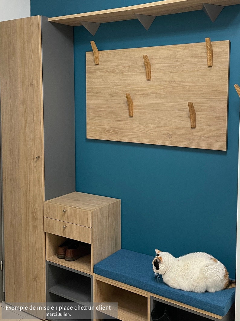 May include: A light wood entryway with a bench, a cabinet, and a wall-mounted coat rack with wooden hooks. The wall is painted a teal blue color. A white cat with orange and black markings is sitting on the bench.