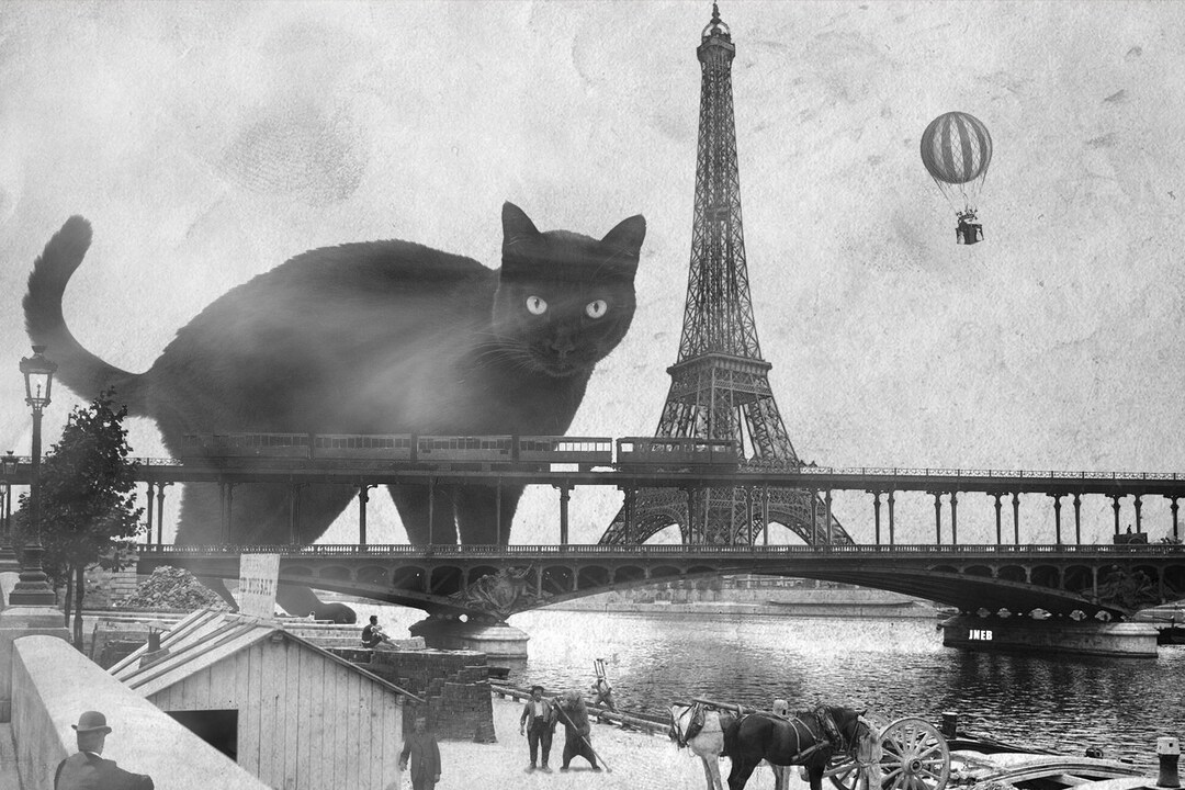 giant-cats-to-print-etsy