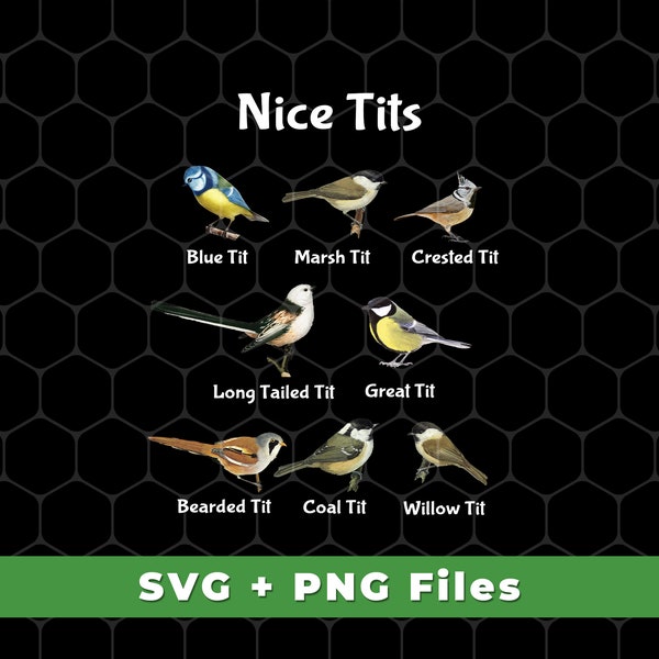 Nice Tits Svg, Tits Bird Svg, Birds Svg, Tits Svg, 8 Kinds Of Tits Bird Svg, Bird Lover Shirts, Many Birds, SVG For Shirts, PNG Sublimation