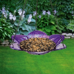 9" Glass bowl bird feeder with metal chain hanger