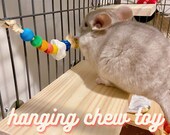 Natural Hanging Chew Toy Birch wood, vine balls, seagrass, pumice stone Hamster, Gerbil, Guinea Pig, Chinchilla, Mice, Rat, Rabbit