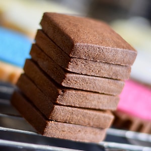 Chocolate Cut-Out Cookie Recipe - PDF Digital Download | No Spread | Roll Out