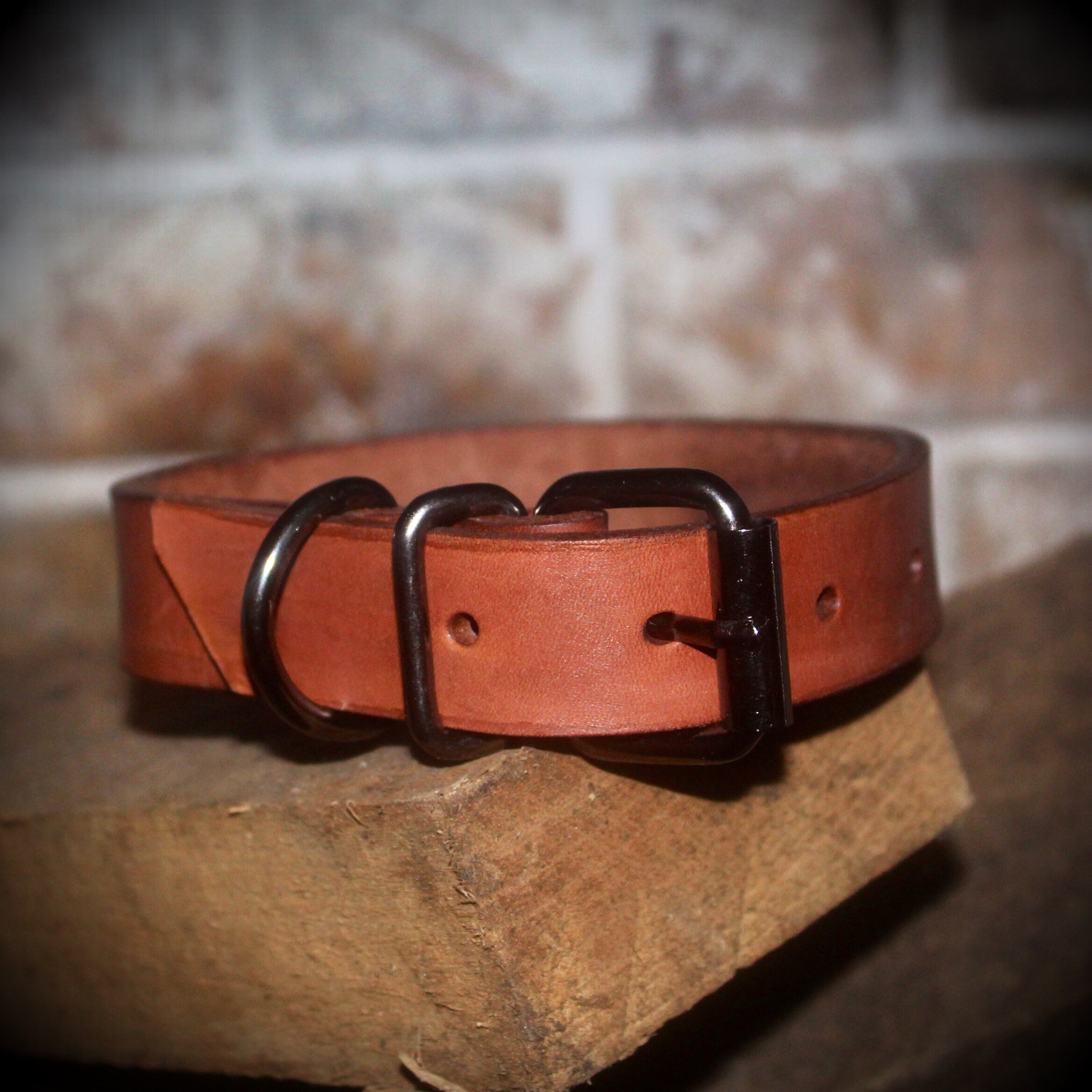 Leather Dog Collar Etsy