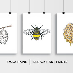 Set of three Honey Bee Drawing Prints - Digital Download