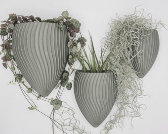 Design-Vase-Muscheldesign mit Wandbefestigung / Wandblumentopf / Blume / Behälter / Deko