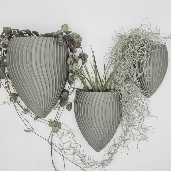 Design-Vase-Muscheldesign mit Wandbefestigung / Wandblumentopf / Blume / Behälter / Deko