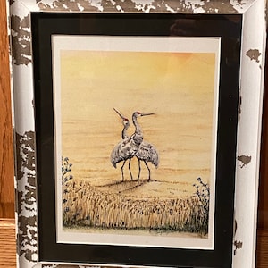 Sandhill Cranes