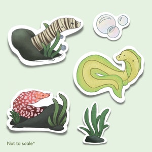 Eel Sticker Pack | Sticker Set | Underwater Animals | Eels