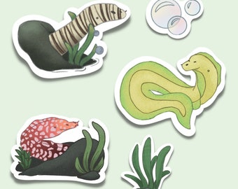 Eel Sticker Pack | Sticker Set | Underwater Animals | Eels