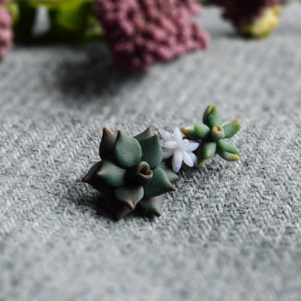 Broche succulente, broche plante grasse, broche fleur, broche en argile polymère, fimo fantaisie, polymer clay art, stud pins, broche verte