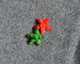 Flower pins / Flower brooch / Cactus jewelry / polymer clay pins / Original handmade gift / Fancy brooch /