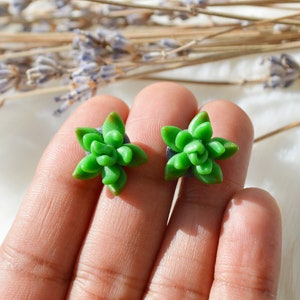 Orecchini piante verdi / orecchini succulenti / orecchini cactus / regalo fatto a mano personalizzato per le donne