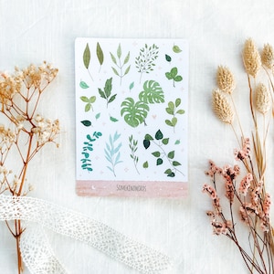 Foglio di adesivi "Foglie verdi" | Adesivi estetici, adesivi per bullet journal, adesivi per pianificatore, adesivi per acquerelli, foglie, adesivi per piante