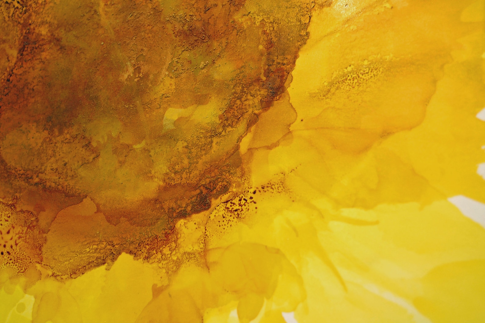 Sunflower Art Yellow Flower Art Yellow Art Abstract Art Original Art