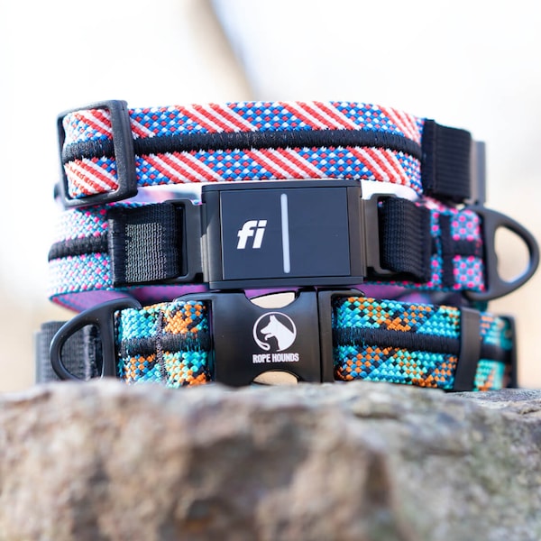 Fi Series 3 Compatible Dog Collar