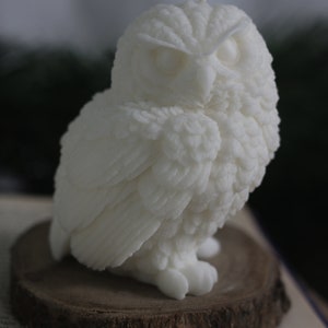 Buho Nevado