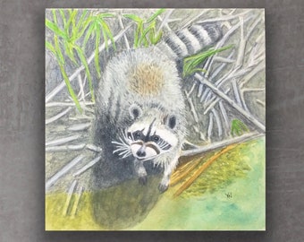 Racoon Painting, Original Watercolor & Mixed Media, 7 x 7 inches, Wild Life, Animal, Wall Art, Nature lover gift