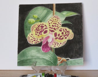 Spotted Yellow Orchid painting, Original watercolor, 7x7 inches, Phalaenopsis, Moth Orchid,  Floral decor, Wall art, Yellow, Wine spots,