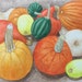 see more listings in the Still Life Paintings section