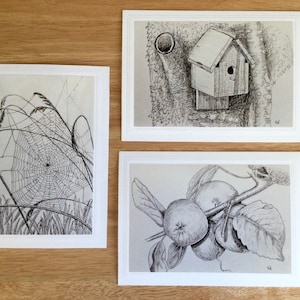 Collection 3 cartes, stylo et encre, tirages photo montés sur des cartes 5x7 », vœux toutes occasions, pommes, birdhouse, toile d’araignée, pensée de vous