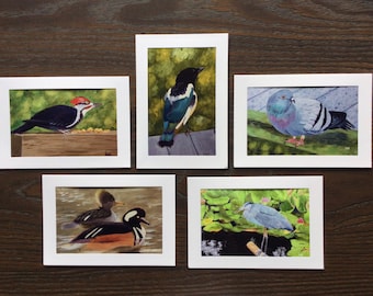 BIRDS CARDS - SET 1 - Woodpecker etc.,  5 Card Collection, Photo Prints of Original Art,  All Occasion Greetings, Could be framed