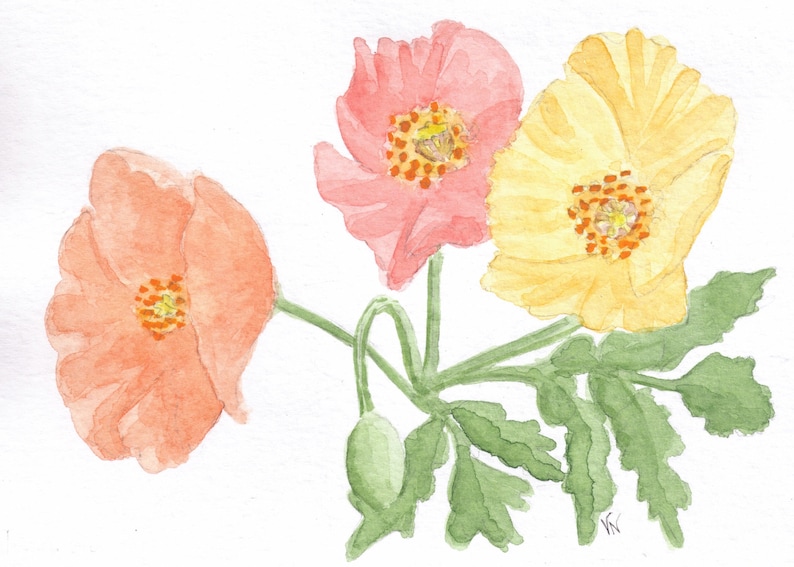 Framable Butterfly Bush Botanical Floral decor Poppies /& Sweet Peas Hand-painted cards 3 Watercolor Originals Pastel Floral realism