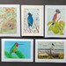 see more listings in the Animal & Bird Cards section