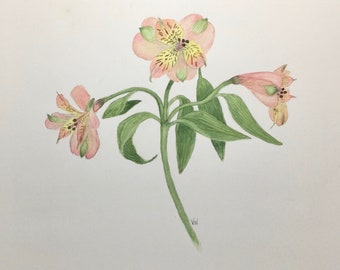 Alstroemeria Painting, Original Watercolor, 12 x 9 inches, Botanical Style, Floral Art, Wall, Shelf  Art,