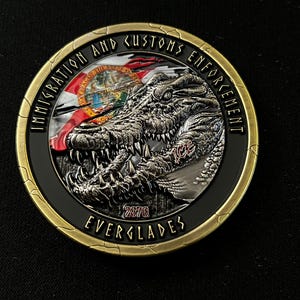 H.S.I. / I.C.E. / FDLE Alligator Alcatraz Challenge Coin - Etsy