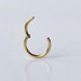 see more listings in the Hinged Nose Rings/Hoops section