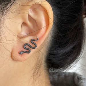 Może przedstawiać: Srebrny kolczyk w kształcie węża o splecionym wzorze. Kolczyk jest noszony w górnym płatku ucha.