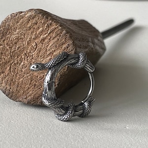 May include: A silver hoop earring featuring a snake design. The snake is coiled around the hoop, with detailed scales and a small eye. The earring is set against a textured, brown background.