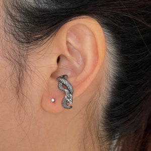 May include: A silver snake ear cuff earring. The snake is curled around the ear and has a detailed design. The earring is worn on the left ear.