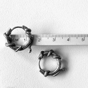 May include: Two silver hoop earrings featuring a snake design. Each earring has a snake wrapped around a circular hoop. The earrings are next to a ruler, with the earrings measuring approximately 2.5 cm in diameter.