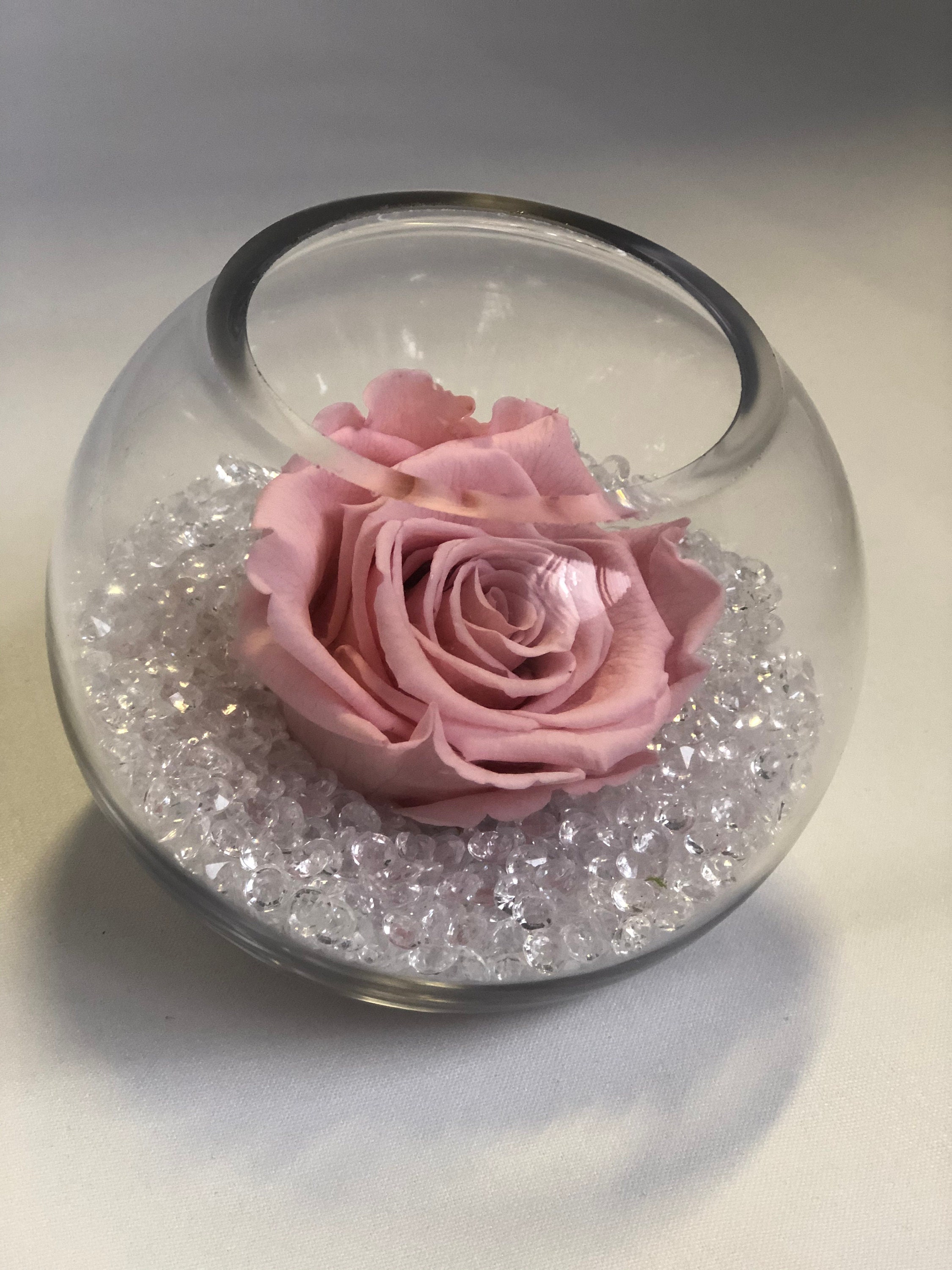 Rosa eterna en la pecera de vidrio / globo de cristal colgante - hermoso  regalo para el aniversario, cumpleaños, día de las madres