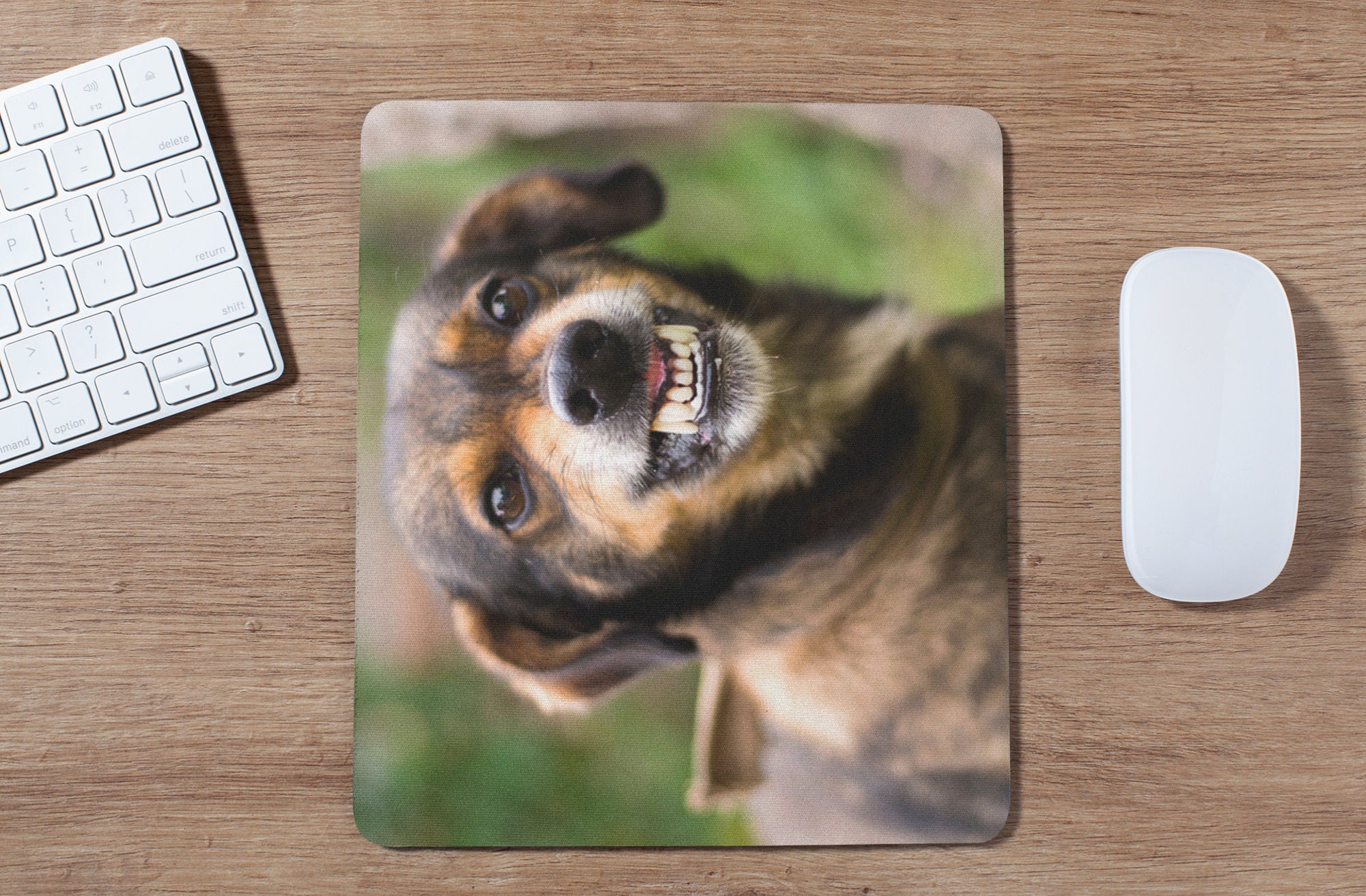 Custom Dog Mouse Pad Personalized Mouse Pad Personalized Etsy