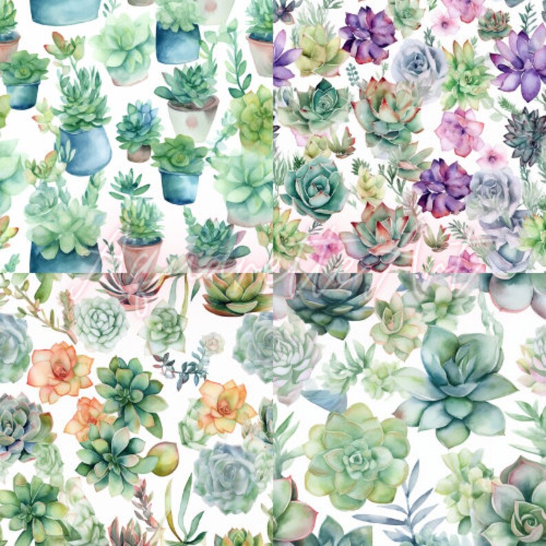 Printable Digital Paper Succulents Illustration Seamless Pattern ...