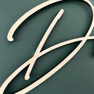 May include: A close-up of a wooden letter D, painted in a light wood color, with a dark brown outline. The letter is on a dark green background.