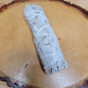 Manojo de salvia seca / Decoración botánica / Material vegetal natural / Suministros para manualidades imagen 4