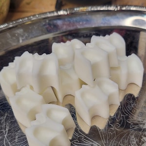 Bats Soy Wax Melts: Witchy Fall Scents, Essential Oil Fragrance