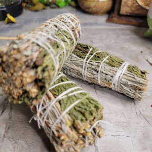 Pu&ograve; includere: Due mazzi di erbe secche legate con spago. Un mazzo &egrave; una miscela di salvia e cedro, l'altro &egrave; solo salvia. I mazzi sono su una superficie grigia.